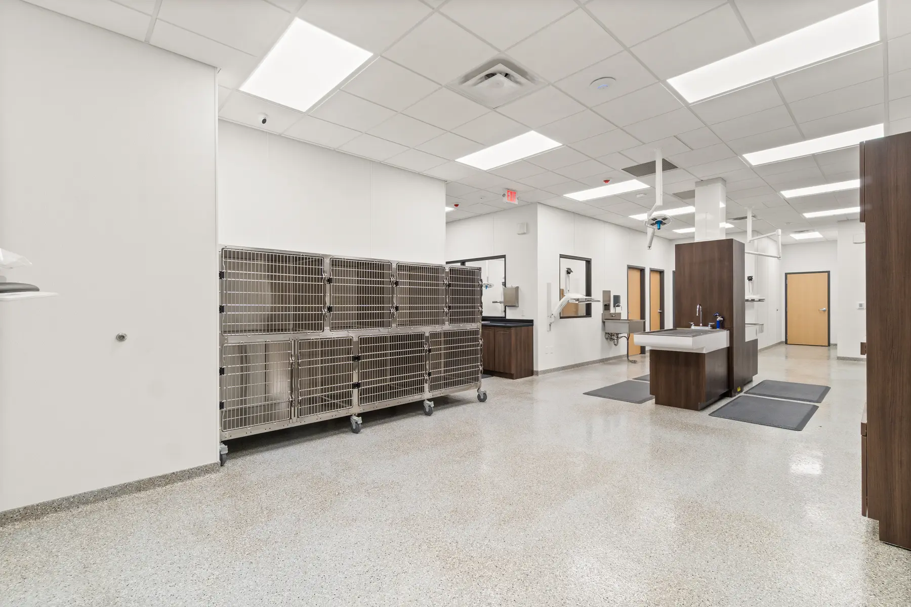 Mount Pleasant Animal Clinic gallery image 5